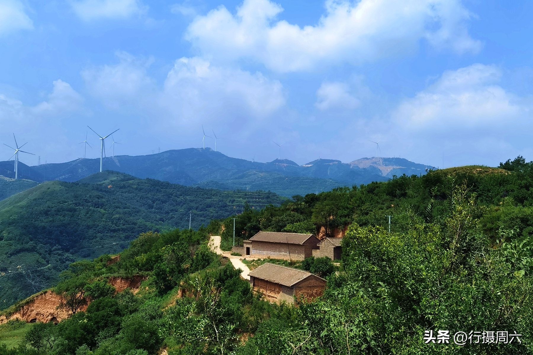 老人在山上养了两条狼狗,山里老人养的大狗