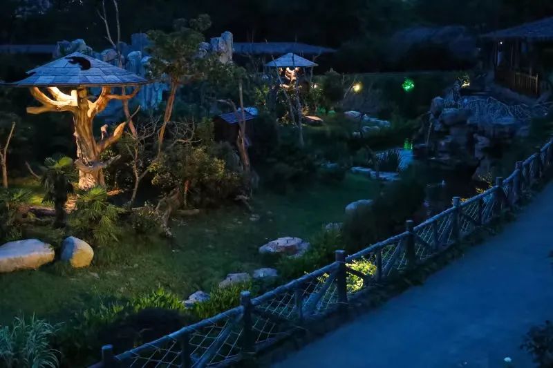 上海沉浸式夜游公园,上海森林公园夜游