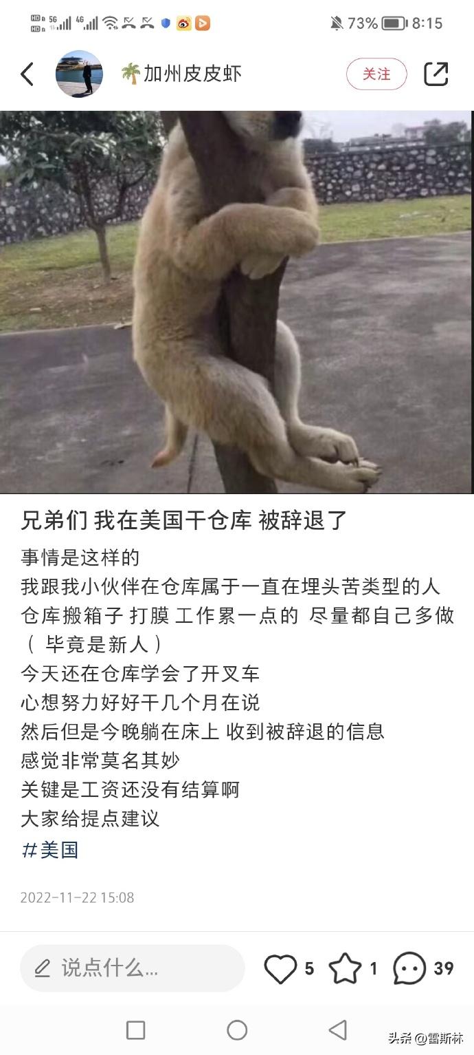 年入20万还想搞副业,年入20万容易吗