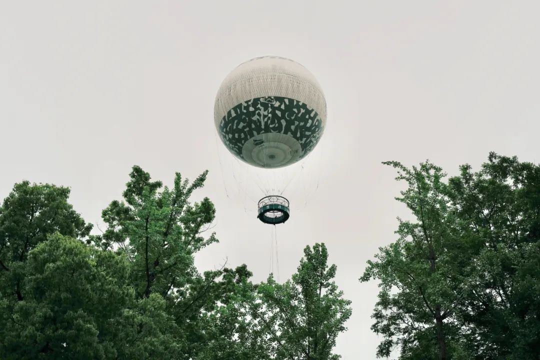 春天的潺潺溪水,春天的顶流