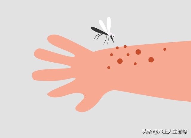 美国到底打赢了恐怖组织吗,美国什么时候认定基地是恐怖组织