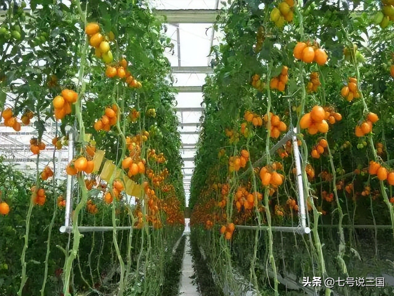 欧盟27国经济总量,欧洲27国年总产值多少