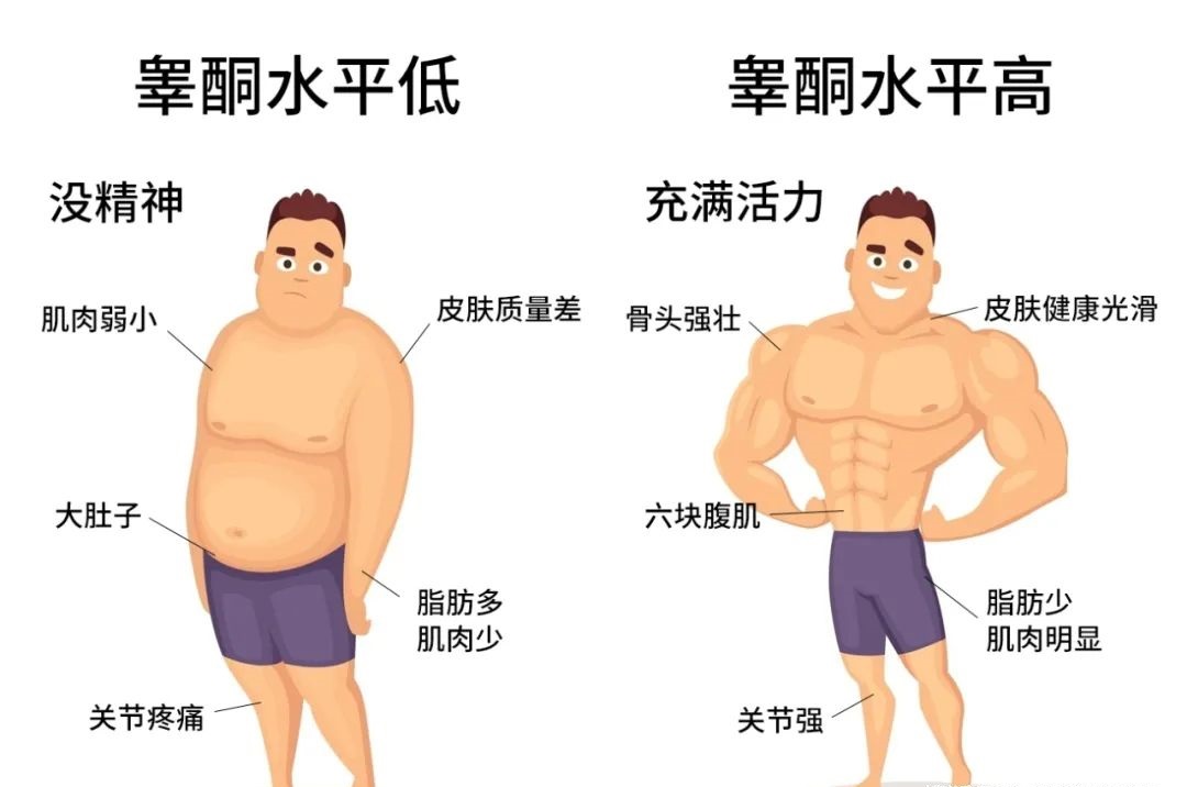 男人为何“好色”？已有科学依据，原来男人拥有两颗“大脑”