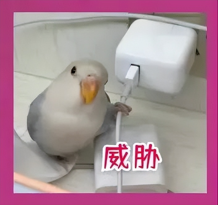 冒充京东客服注销金条借贷,注销京东金条能追回来钱吗