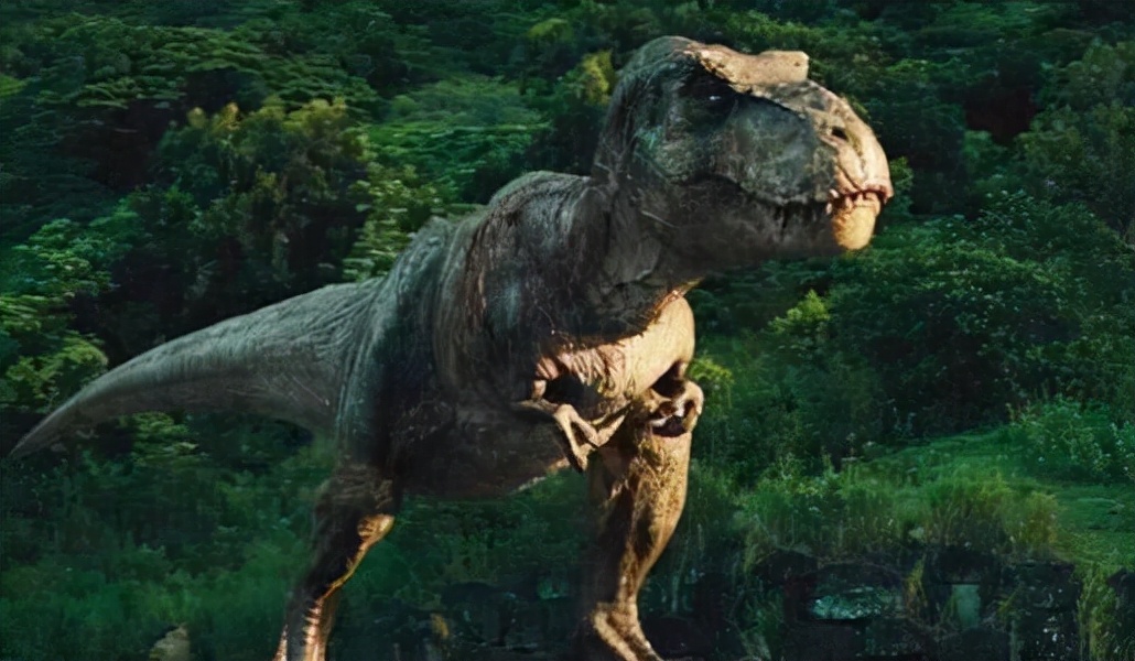 鸡的祖先是霸王龙？它为何每天都下蛋，细数鸡身上的“恐龙基因”