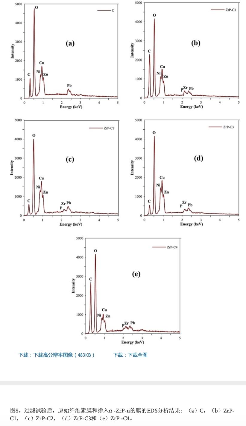 鍚堟垚闃寸瀛愪氦鎹㈣啘,鍚堟垚闃寸瀛愪氦鎹㈣啘瀹為獙杩囩▼