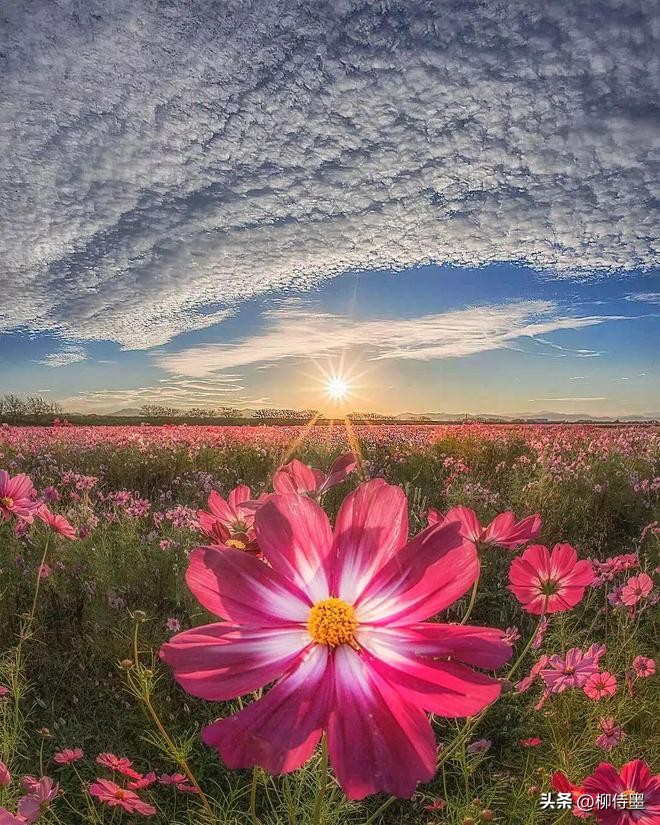 一个摄影技巧，提升拍照质量，照片好看十倍