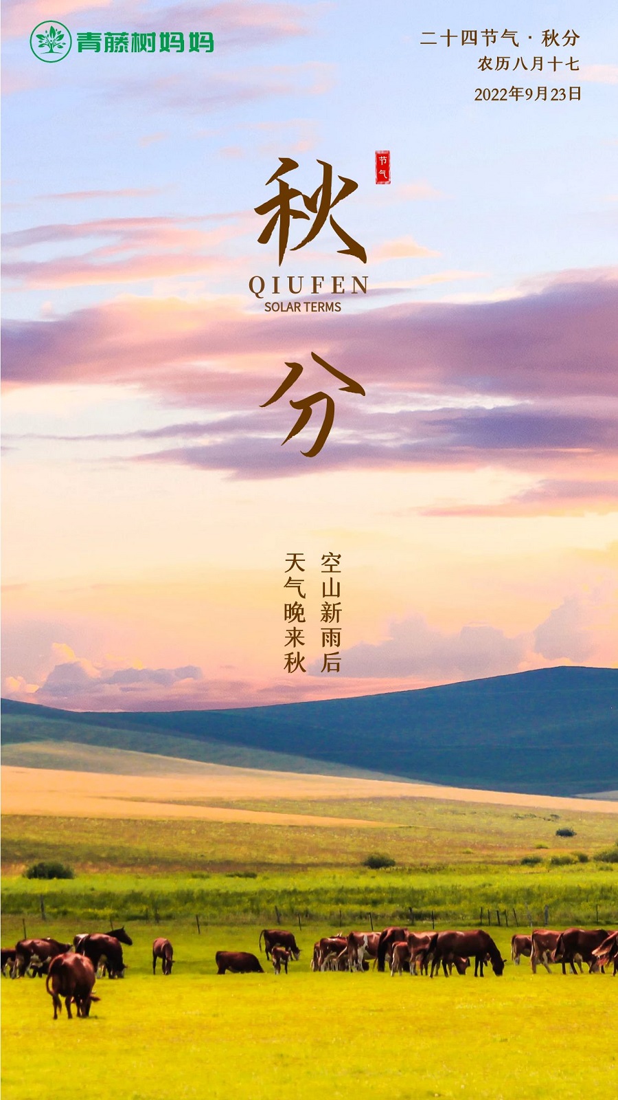 如何给孩子们讲解秋分,今日秋分要注意什么