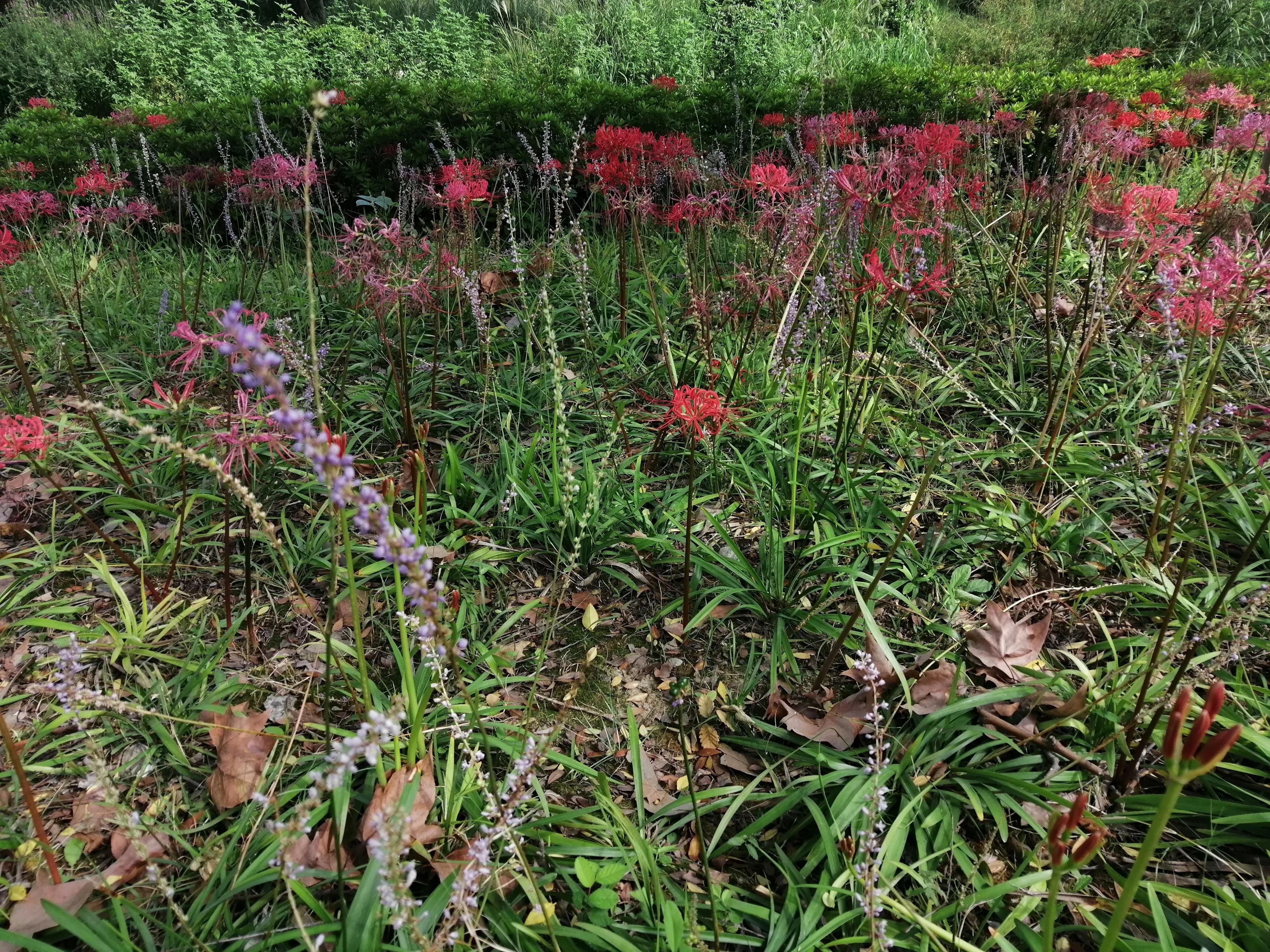 东园好玩的景点推荐,东园旅游景点推荐
