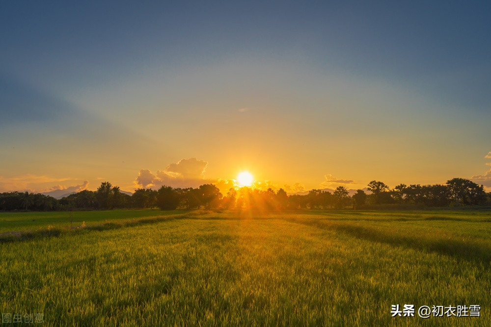 赏读周梦蝶《九月》：那浓浓的冷香，该已将东篱染黄了吧？