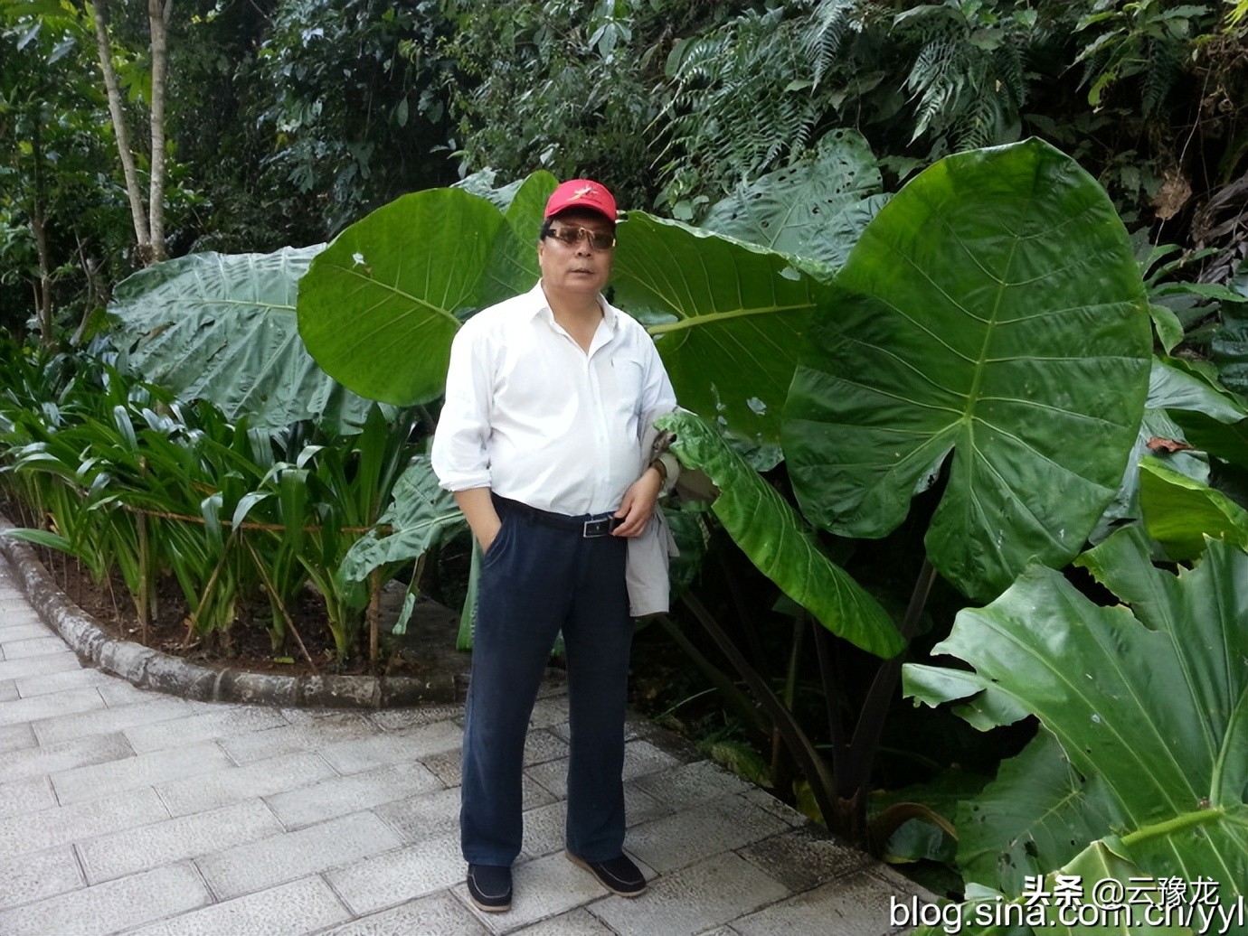 西双版纳磨憨自驾游攻略,自驾游云南版纳旅游攻略