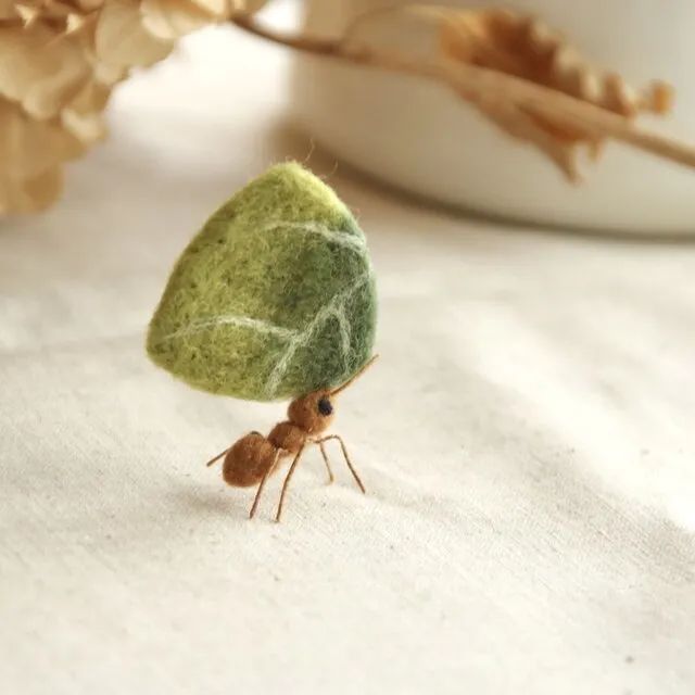 奇形怪状的羊毛毡,奇形怪状羊毛毡