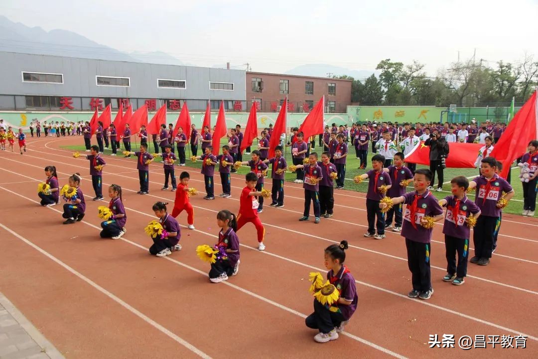 校园竞技,校园赛场青春激扬活力四射