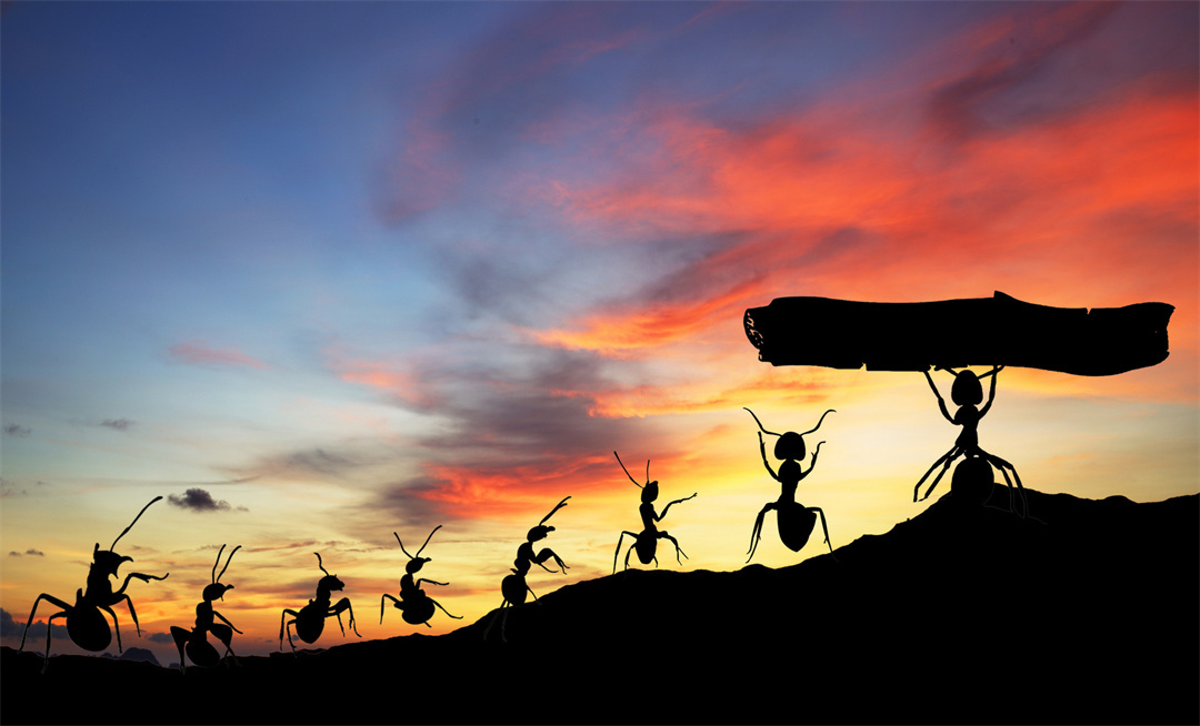 走过岁月的回忆,走过岁月的路口