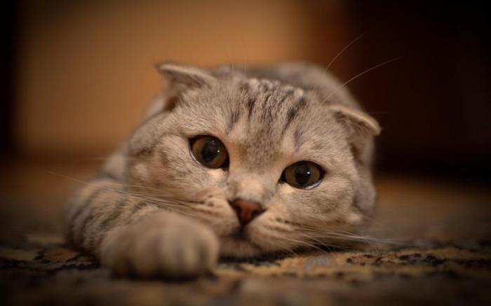 期货为什么有实物交割呢,期货基础知识什么是期货交易