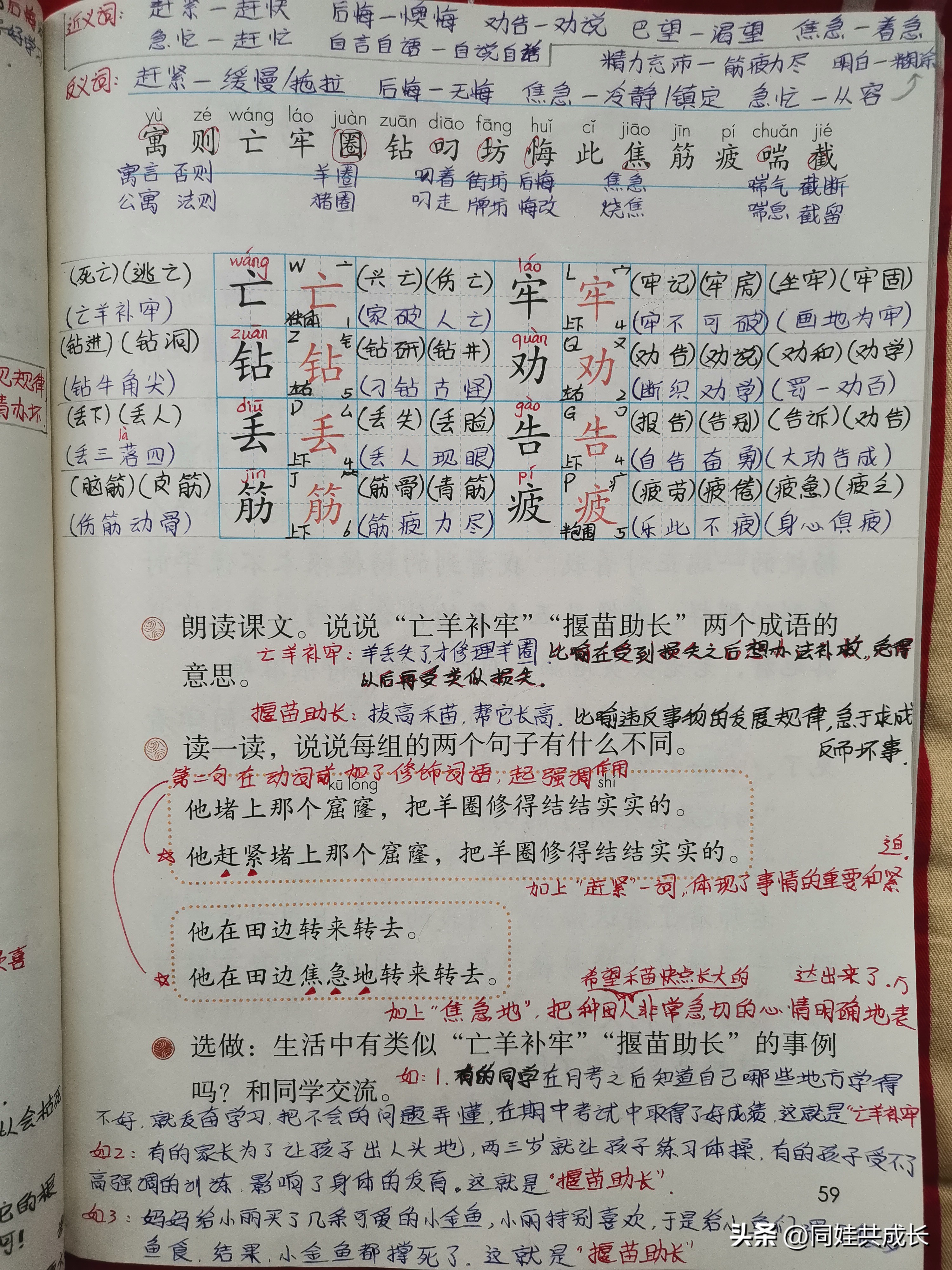 芳芳老师二年级语文下册寓言二则,二年级语文下册寓言二则详细讲解