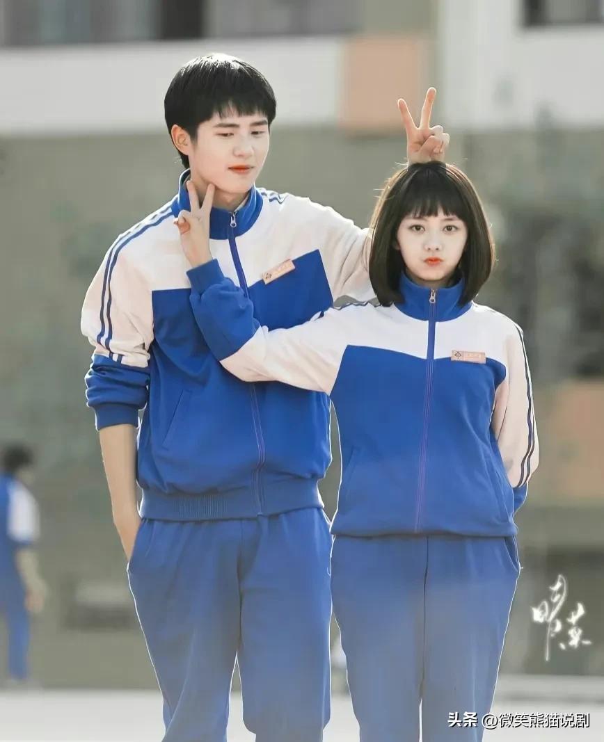 2020电视剧推荐校园青春爱情超甜,30部超级好看的青春校园爱情剧