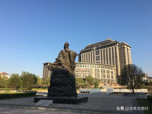 山医专科学校投档线,山中医研究生录取分数线