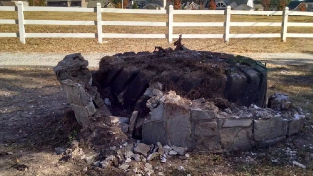 耶鲁华裔学生获赔3500万美元赔偿,华裔耶鲁高材生撞花坛