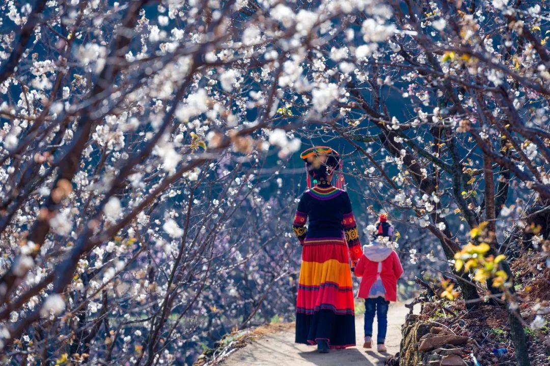 喜欢在这座江南城市里生活,非常喜欢这座自带浪漫的美丽城市