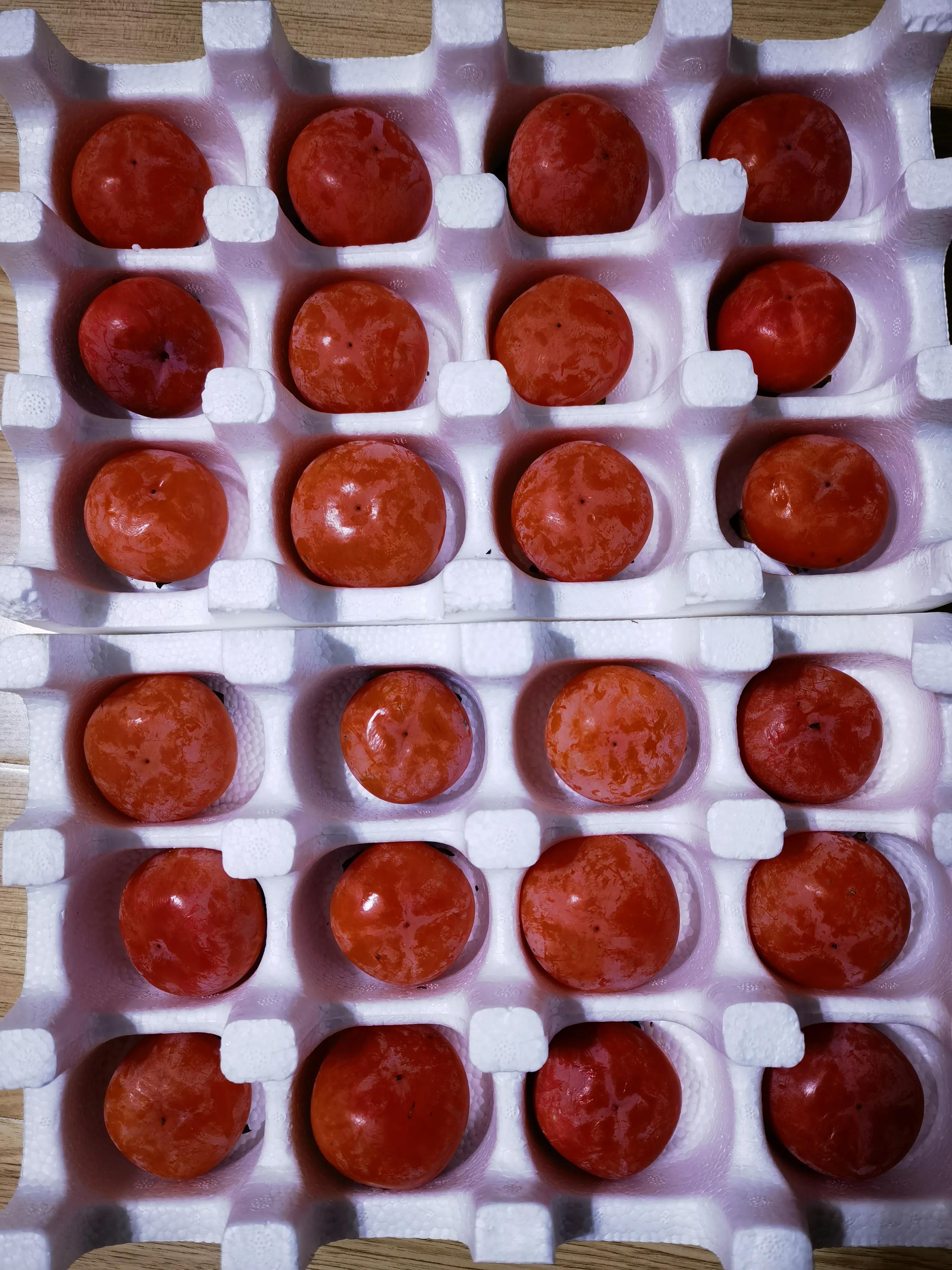 临潼奥特莱斯打卡,阎良区去临潼奥特莱斯