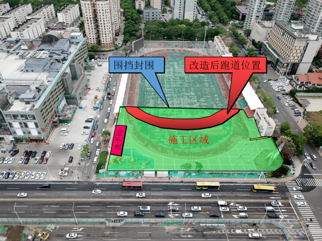 泰达2019世界杯,泰达世界杯