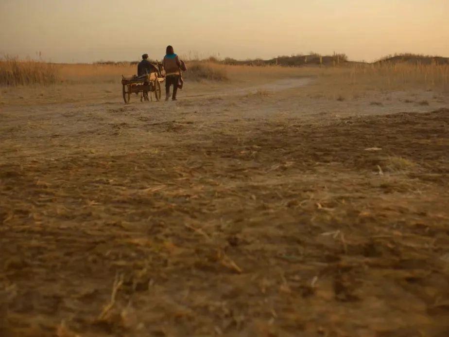 大专课上，老师教我洗澡、避孕、正常做人