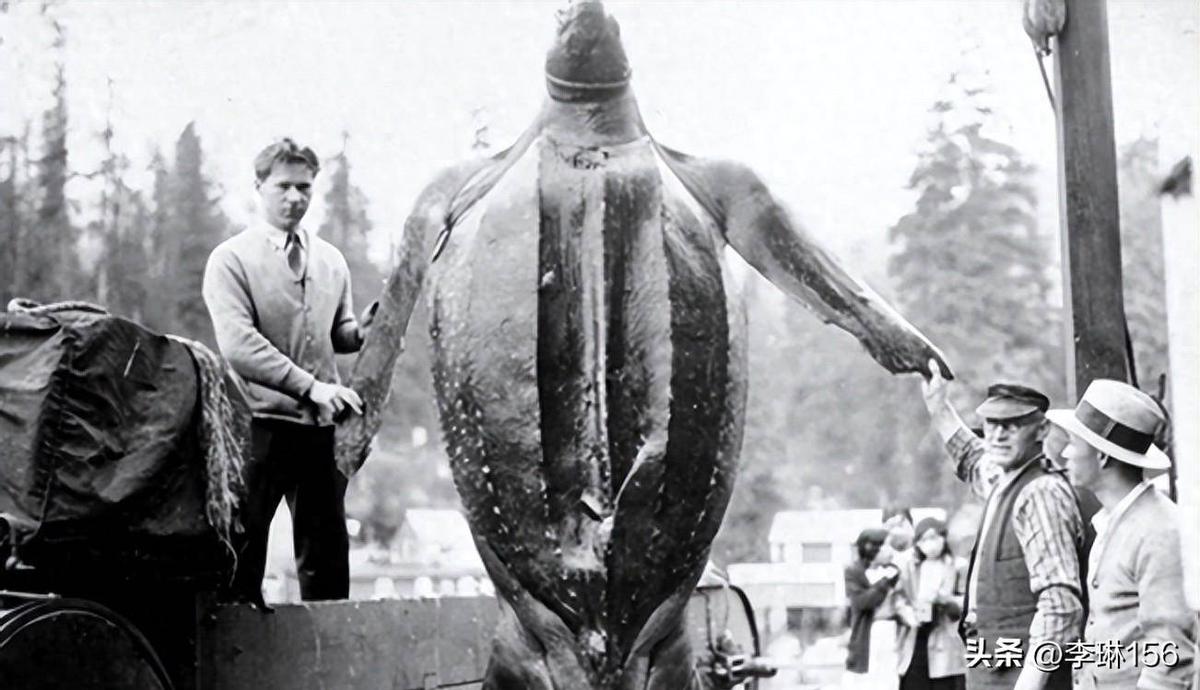 日军找“花姑娘”有多少*行暴**?老人回忆:日本兵没有一点人性