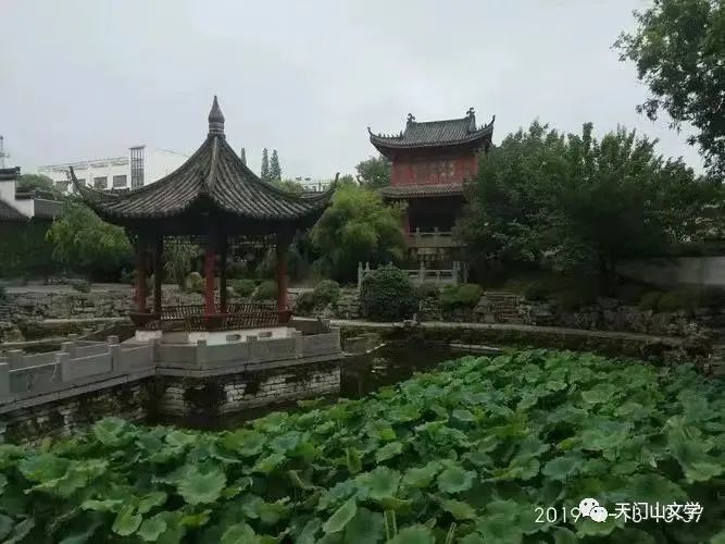 无为人怎么样,无为人性格