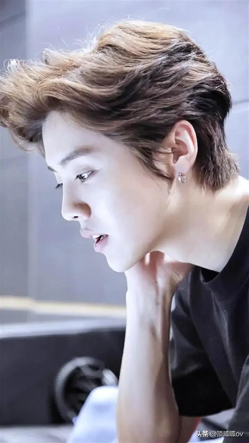 被央视点名表扬最多的明星,国家点名表扬的八位女明星