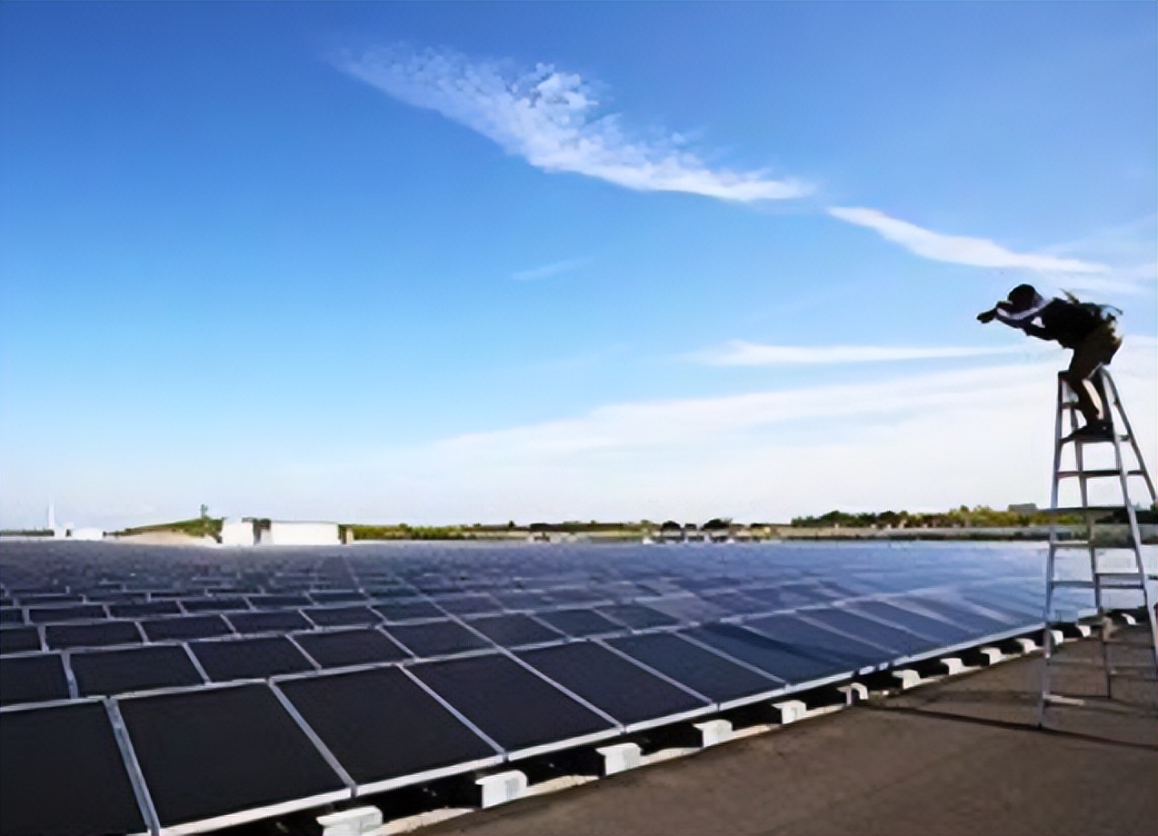 养鱼老板靠什么赚钱,一个养鱼池怎样经营才能挣到钱