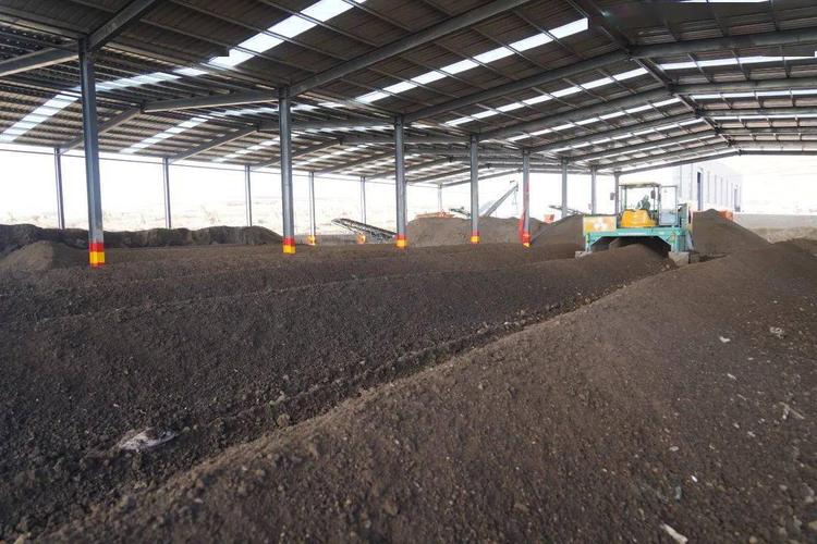 女大学生养猪300头,24岁女大学生养猪