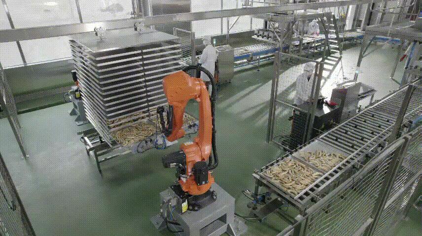 2020中国食品企业十强,2023全国食品企业排名