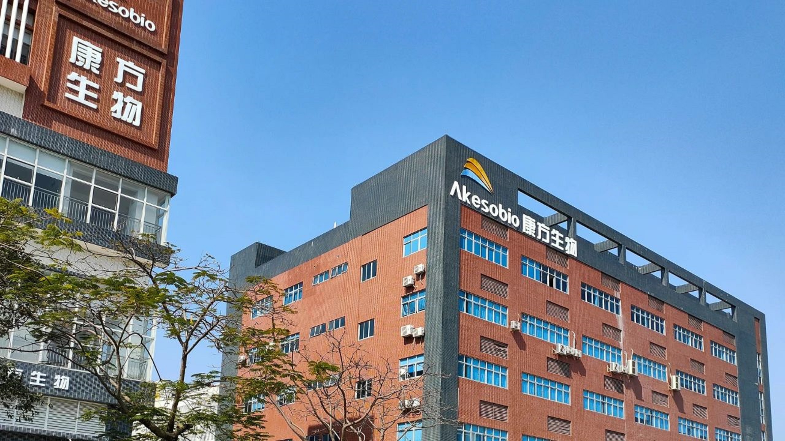 广东中山“女黑马”：创业8年即IPO，市值277.97亿