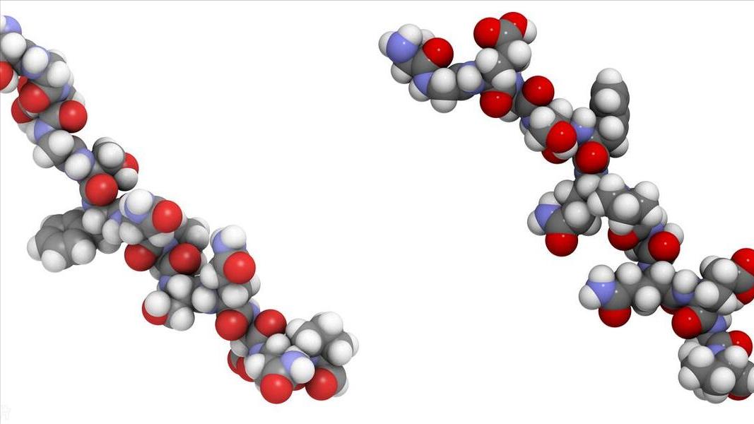 谷丙转氨酶和谷草转氨酶高好治吗,谷丙转氨酶高和谷草转氨酶的区别