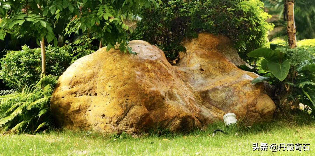 黄蜡石不黄是什么原因,黄蜡石不透光有价值吗