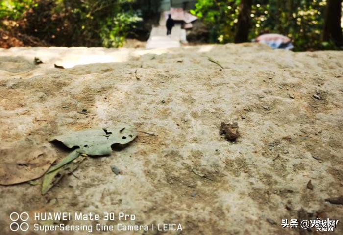 专业摄影手机拍摄技巧有哪些,手机拍照有什么好的拍摄方法