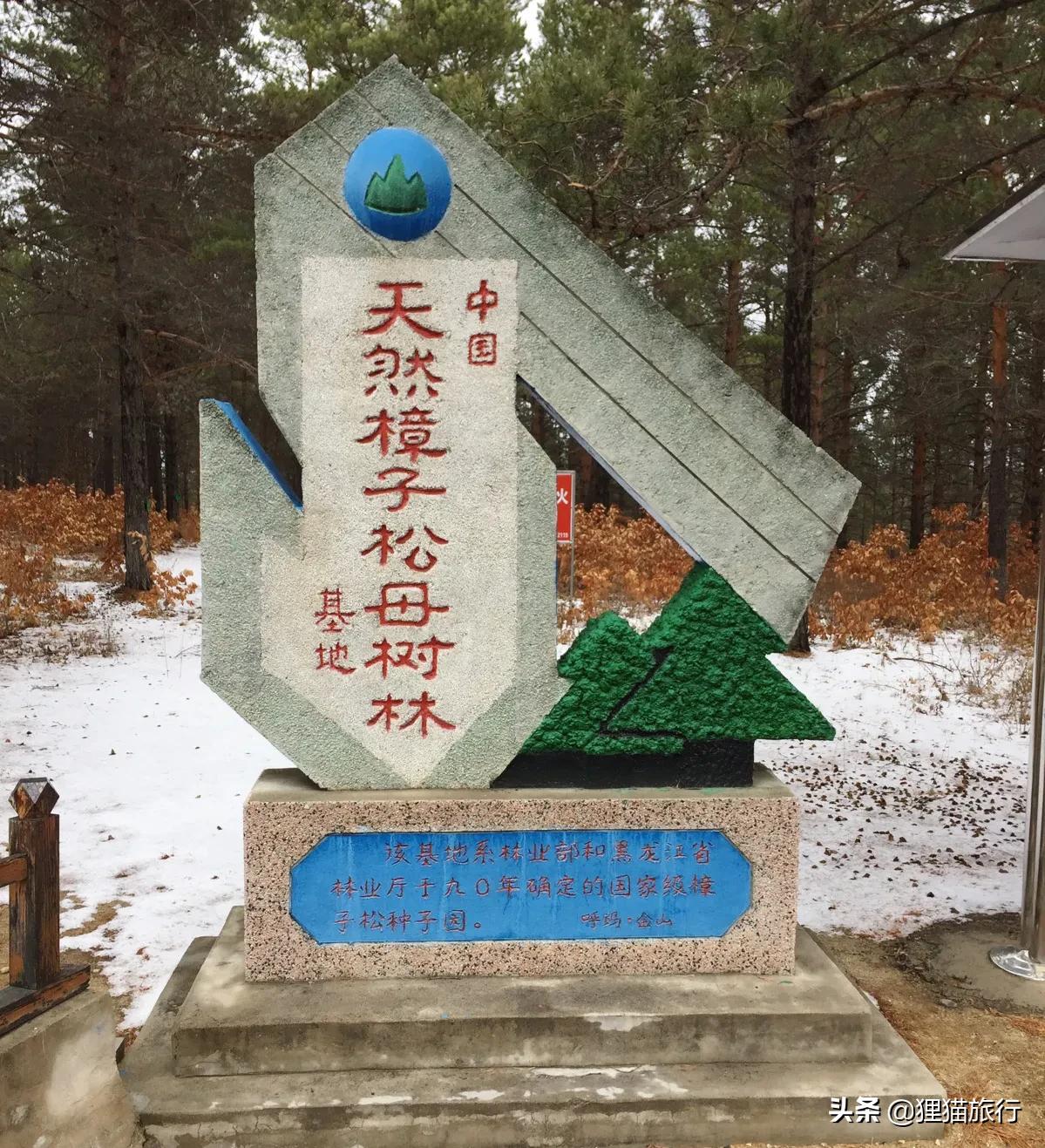 黑龙江大兴安岭呼玛县地图,呼玛县特点