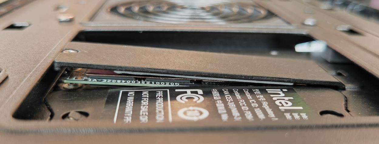 从野兽开始无限升级进化,从野兽开始升级