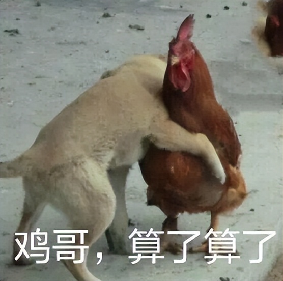 第一次世界大战是怎么打起来的,第一次世界大战波兰被打的原因