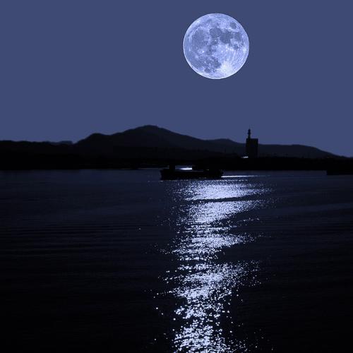 带有月字的诗词飞花令,飞花令月字诗词大全