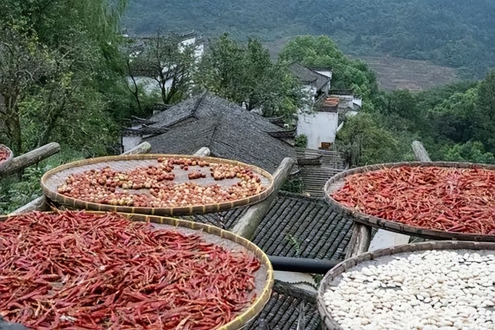 醉美黄山4天3晚游,五天四夜游黄山攻略