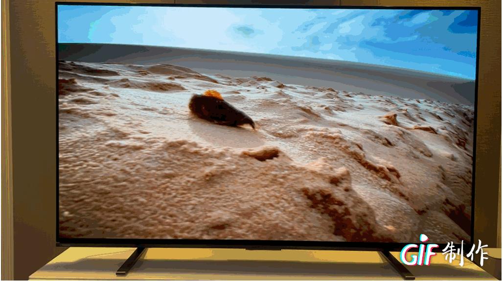 顶级音画是什么样的?看看两万五的4K东芝X8900KF77英寸OLED电视