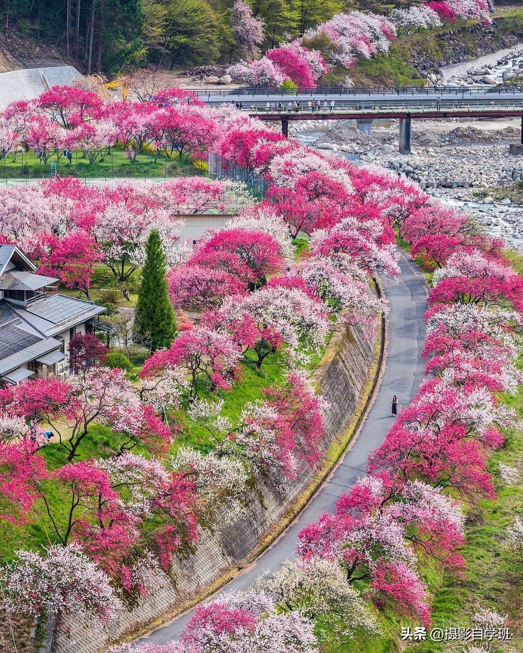 实用六个拍摄技巧帮你拍出好照片,专业摄影技巧如何拍摄出精美照片