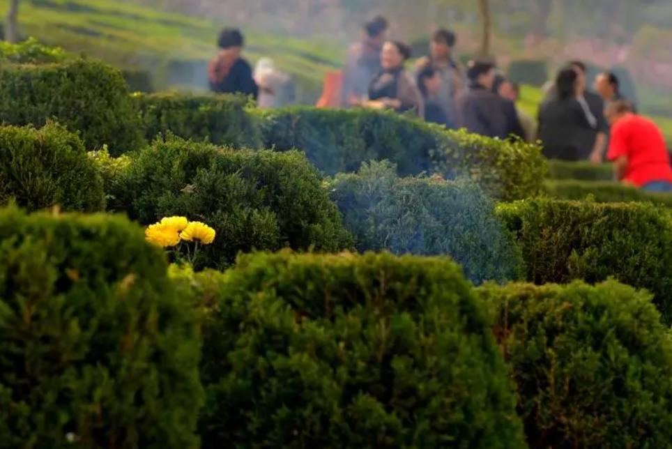 谈中国传统节日的文化内涵及传承,为什么要传承与发展中国传统节日