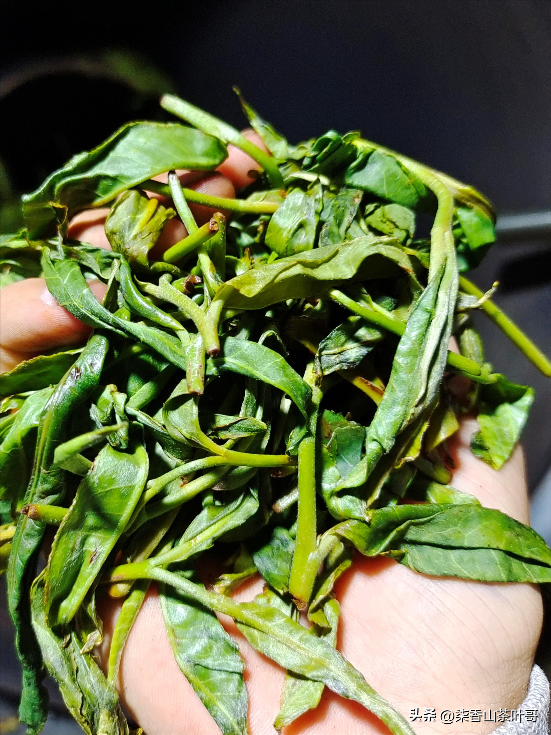 喝茶是一个享受愉悦的过程，选好茶喝好茶。