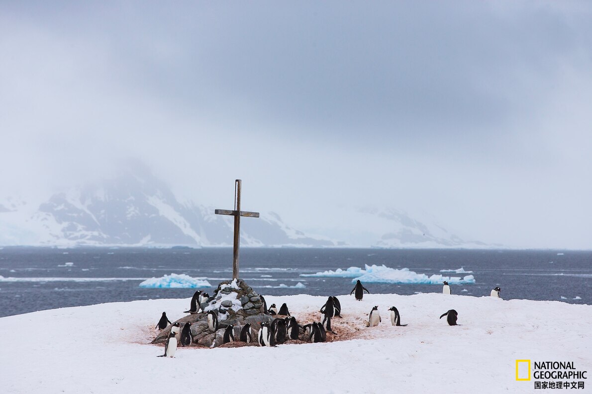 南极洲没有太阳是什么样子的,南极洲的气候类型