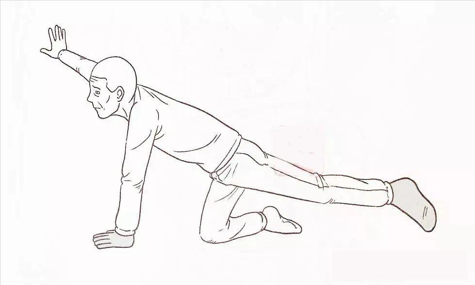 偏瘫康复期延长两年,偏瘫下肢康复一年