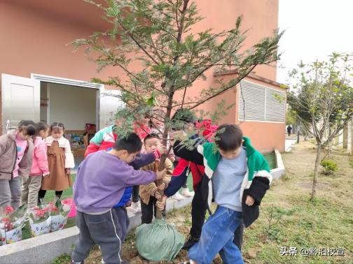 独山县城西童乐幼儿园:“春风十里,绿意萌动”