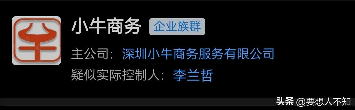 小牛电动车与小牛资本有关系吗,小牛电动集团